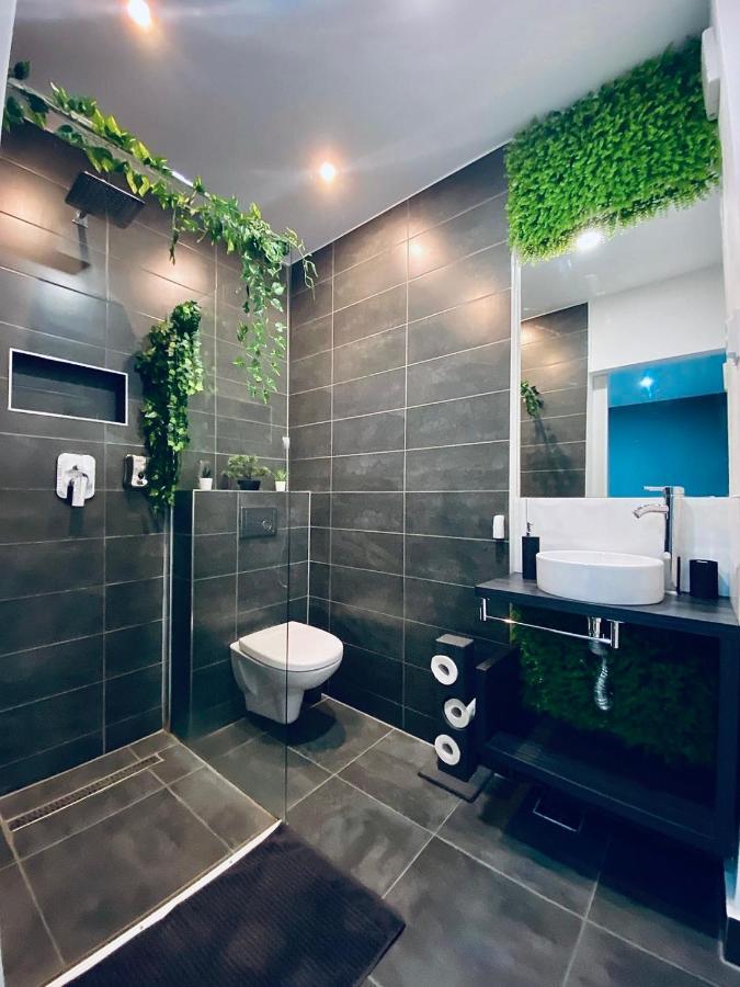 Nairo Harmony Residence براشوف المظهر الخارجي الصورة