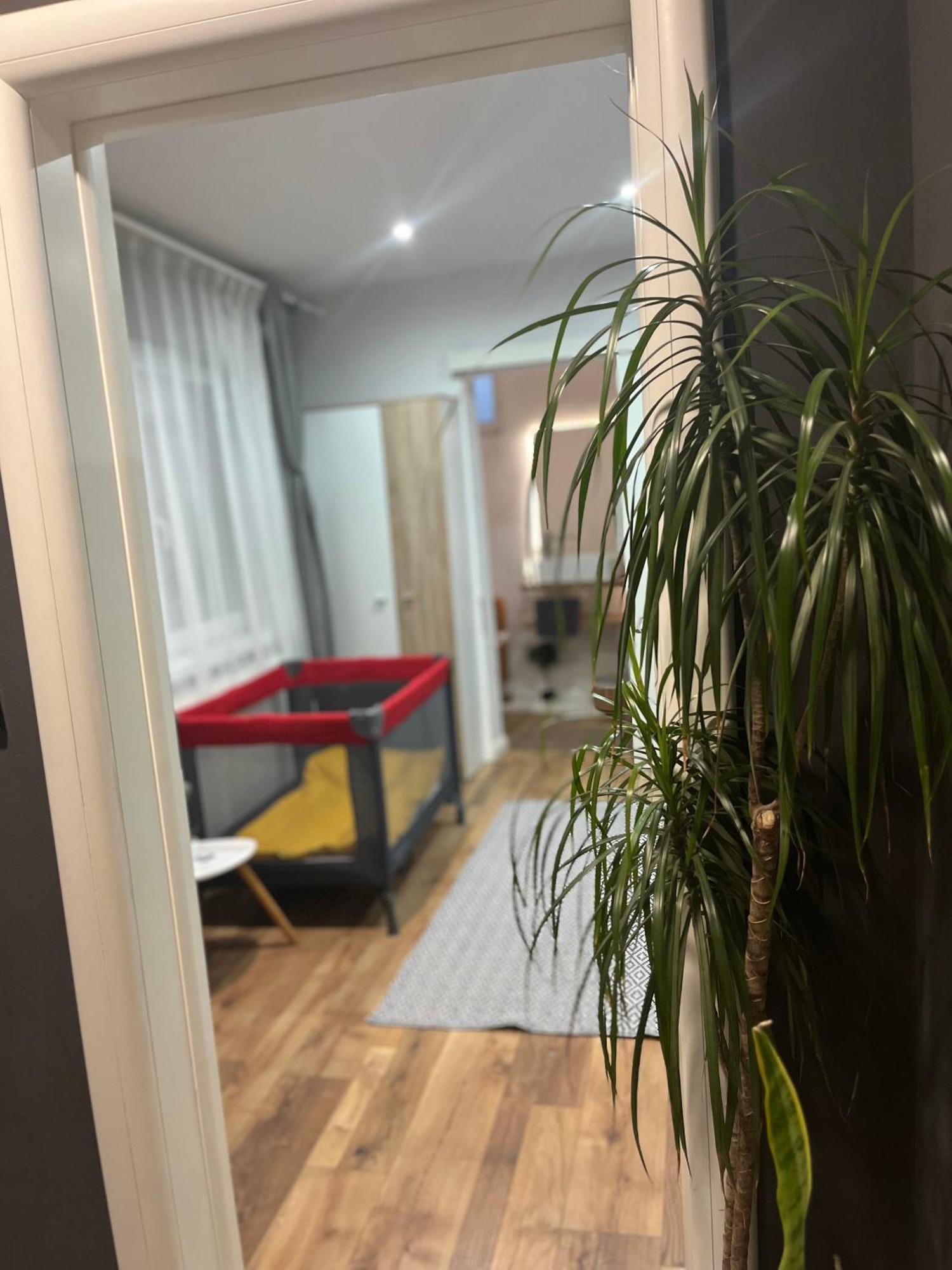 Nairo Harmony Residence براشوف المظهر الخارجي الصورة